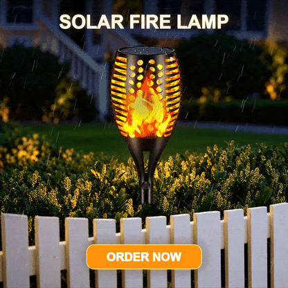 Solar Fire Lamp